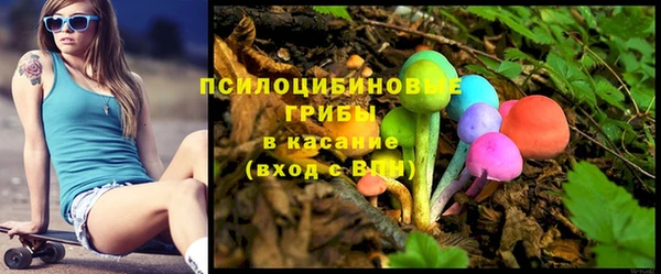 PSILOCYBIN Нефтегорск