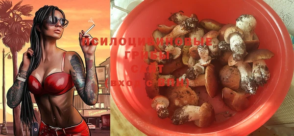 PSILOCYBIN Нефтегорск